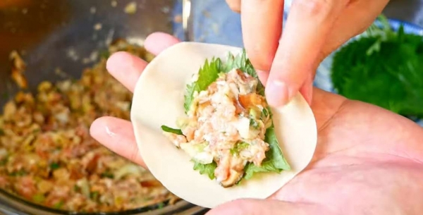 ドロヘドロ」 林田球 の大葉ギョーザ : マンガ食堂 - 漫画の料理、レシピ 漫画飯 を再現 Powered by ライブドアブログ