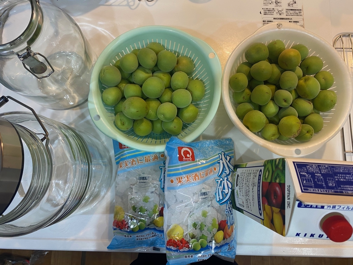 梅酒づくり 自宅の梅の木から収穫した青梅を使って自家製の梅酒をつくってみた！ - パパの手間いらず庭づくり＋