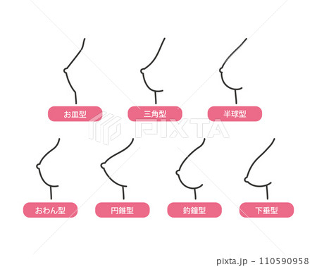 豊胸の理想の形は？あなたのなりたい仕上がりの形はどれ？ | 豊胸・バストアップなら南クリニック