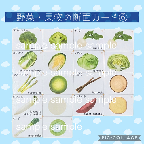 頻出50種 野菜の断面 切り口 29種 と果物の断面 切り口 20種 プラスきのこ 3種 、小学校受験で覚えておきたい常識問題対策無料 お受験プリント