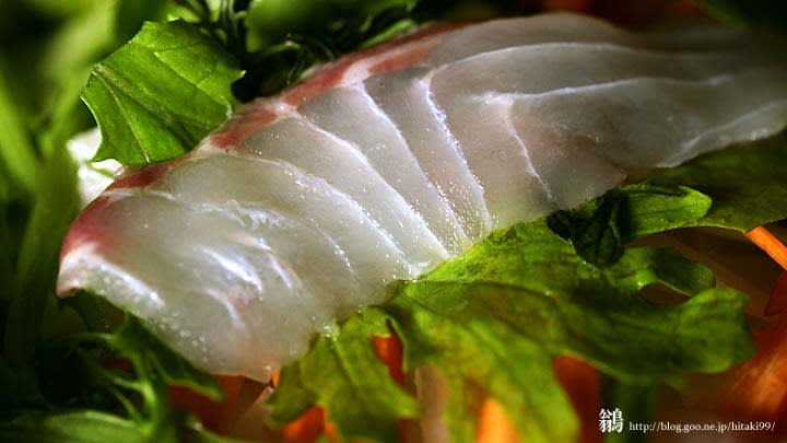 魚をさばく!スズキ 江戸前! =東京湾魚食普及推進センター 一般社団法人 大日本水産会