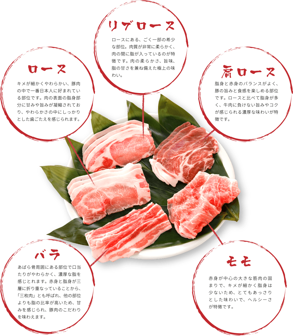 ご存知の通り、実は犬にもお肉の脂身も大好き❤！！,豚肉は部位により特徴が違うのですが、例えば『肩ロース』は肉質が柔らかく、赤みで網状に脂肪が入ってる。『バラ』は肉質が粗くやや固い、脂質が最も高いに対し、『ヒレ』はタンパク質が多いが、脂質は最も低い。,豚肉の最大の特徴はビタミンB群が多く、特にヒレ肉はビタミンB1を他部位より高く含有しています。,