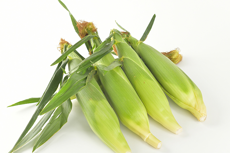 美味しいとうもろこしとは? 見分け方・正しい保存方法 とうもろこしが甘くなる秘密大畑大介商店