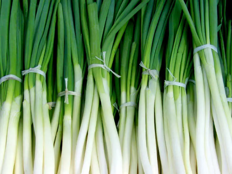 ネギの種類について解説!それぞれの特徴やレシピもご紹介デリッシュキッチン