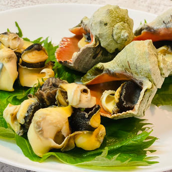 さしみ風あかにし貝 1kg – かね徳創作珍味・とびっこ