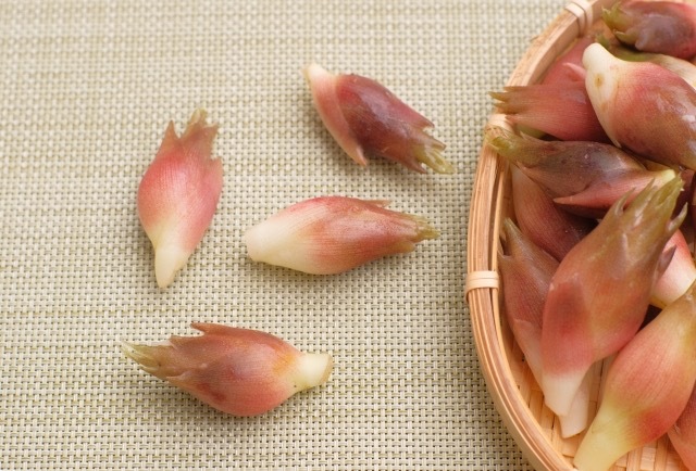 みょうがの栄養とは?効果・効能と活用方法を徹底解説!美肌むくみオーガニック料理教室G-veggie