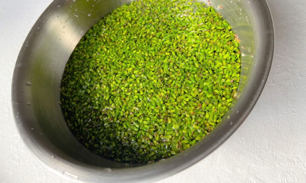 しその実の塩漬け