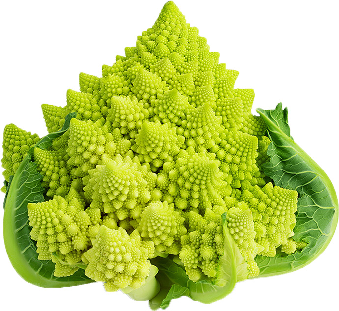 igunal: 珍しい野菜登場