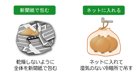 たまねぎの保存方法は？長く持たせるコツをチェック！イオン北海道 ｅショップ