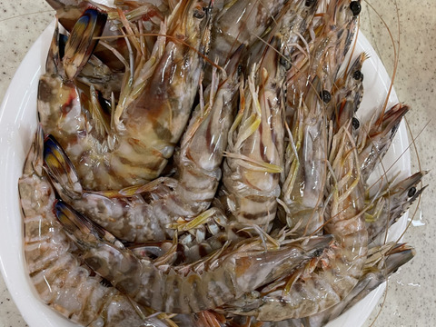 エビ・エビ料理×高級×3～5人の人気おすすめランキングベストオイシ