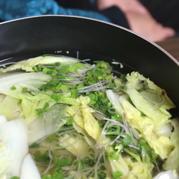 これは旨い！カイワレスープ