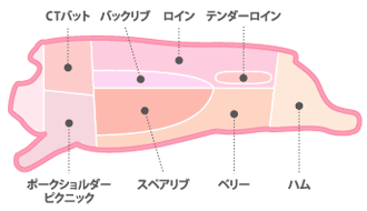 食肉図鑑 お肉の部位・名称消費者の広場公益財団法人沖縄県畜産振興公社