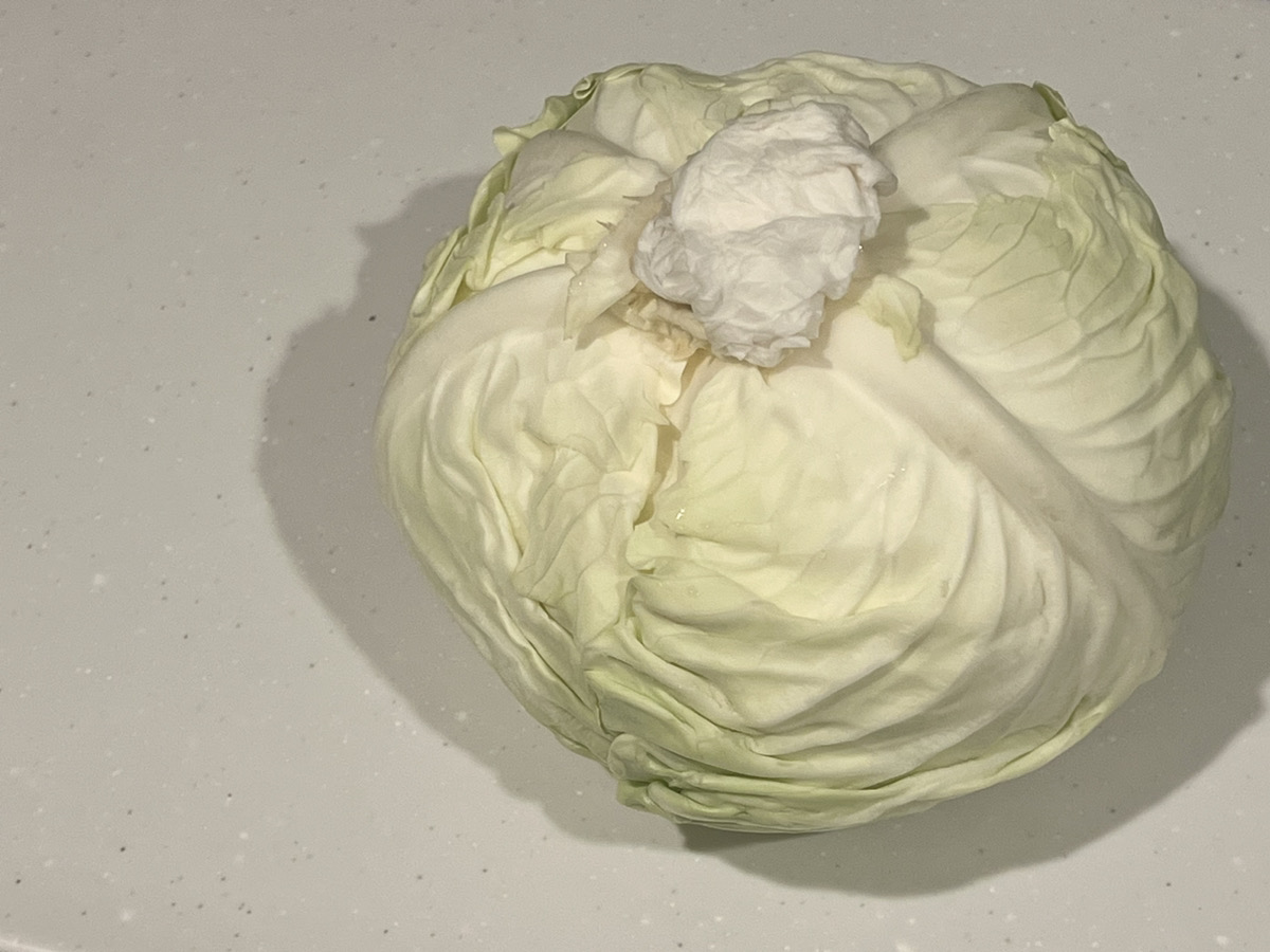 キャベツは冷蔵で2〜3週間の長期保存OK! 冷凍や発酵キャベツの作り方もプロが伝授東京ガス ウチコト