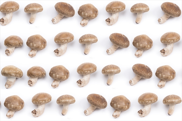 しいたけの賞味期限はいつ？冷蔵、冷凍、乾燥、常温？4つの保存方法