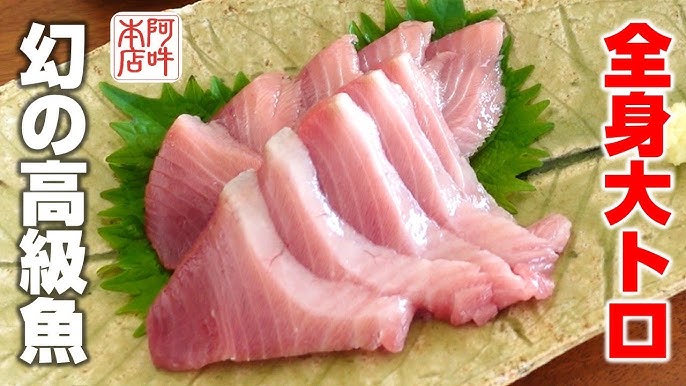 自分で釣ったスマガツオを食らほふヘボ釣り師ボッコの日常