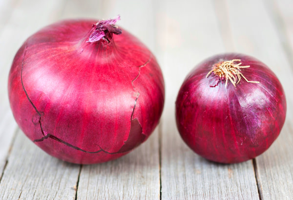 色鮮やかで栄養たっぷり！「紫玉ねぎ」のサラダ＆おしゃれ料理レシピキナリノ