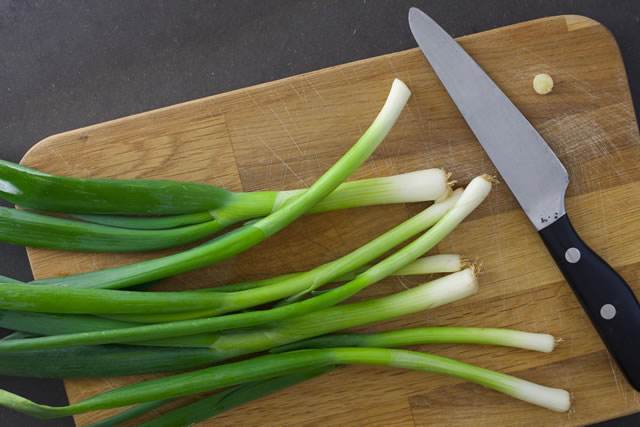 長ネギ 白ネギ の栽培方法・育て方のコツ若手農家が教える家庭菜園あぐりマッチ