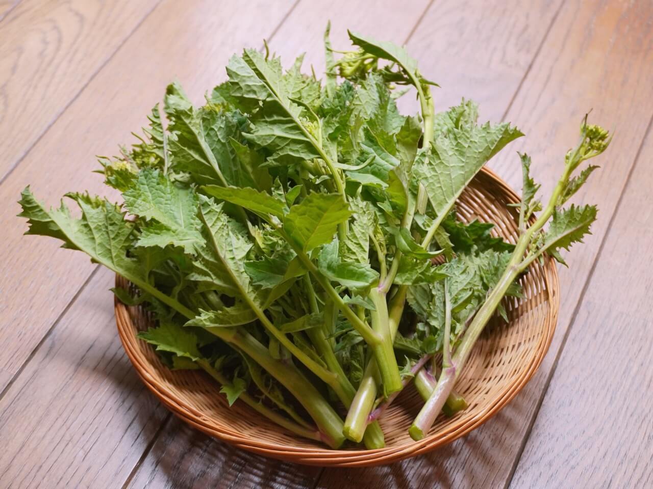 第2回 「菜の花」美ST ONLINE