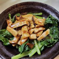 コストコの アワビオイスターソース とマヨの和え物 オイマヨ コストコ アワビオイスターソース キャベツ 豚肉 japanesefood簡単レシピ shorts