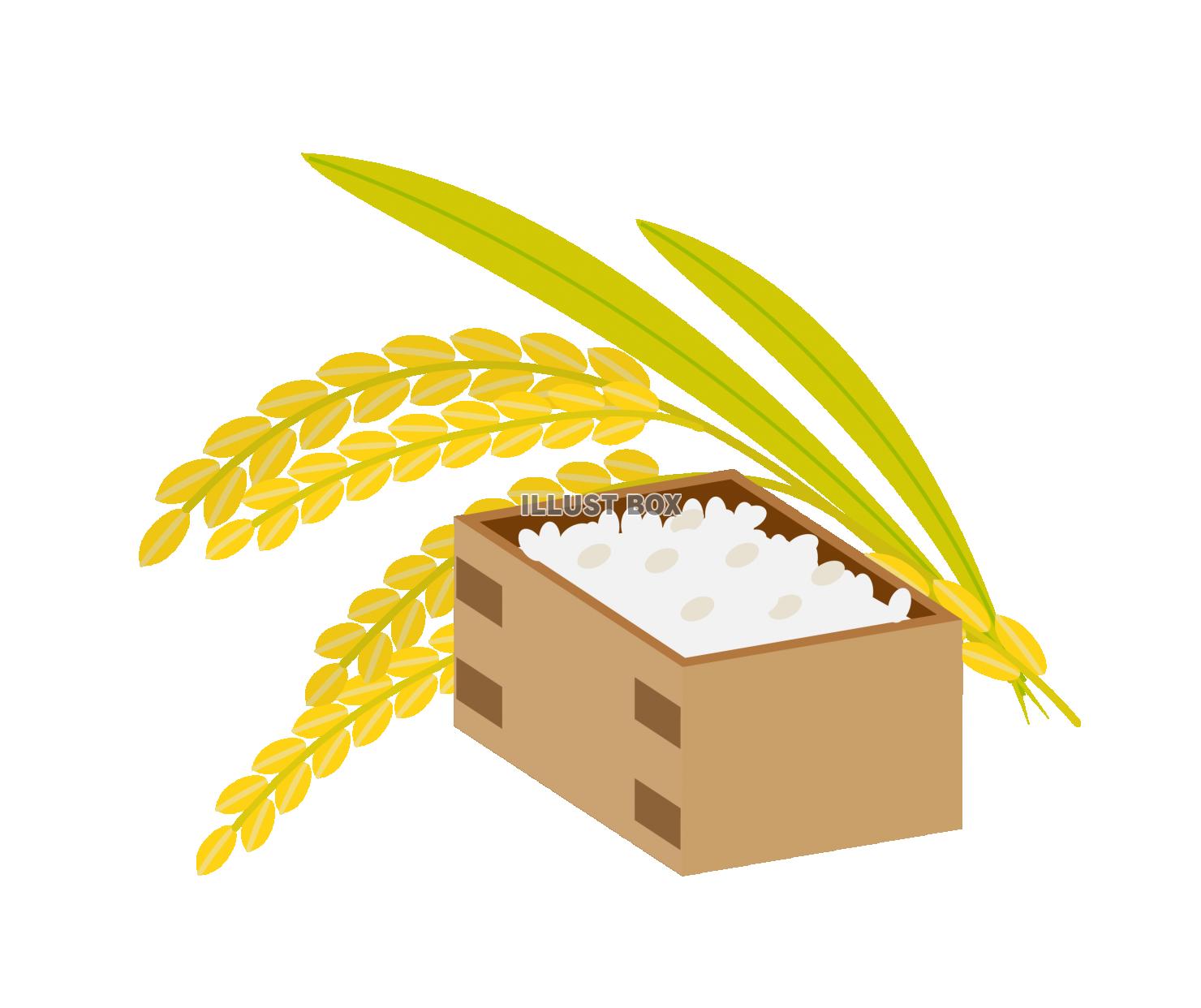 お米☆新米☆稲穂と米袋とおにぎり：イラスト無料