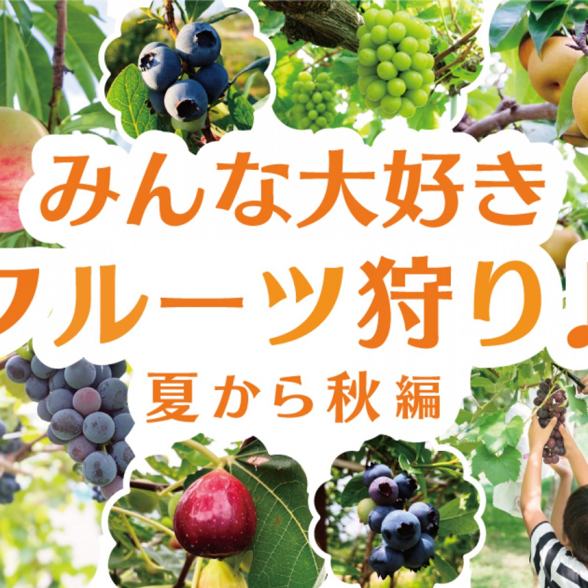 みやぎ蔵王観光navi