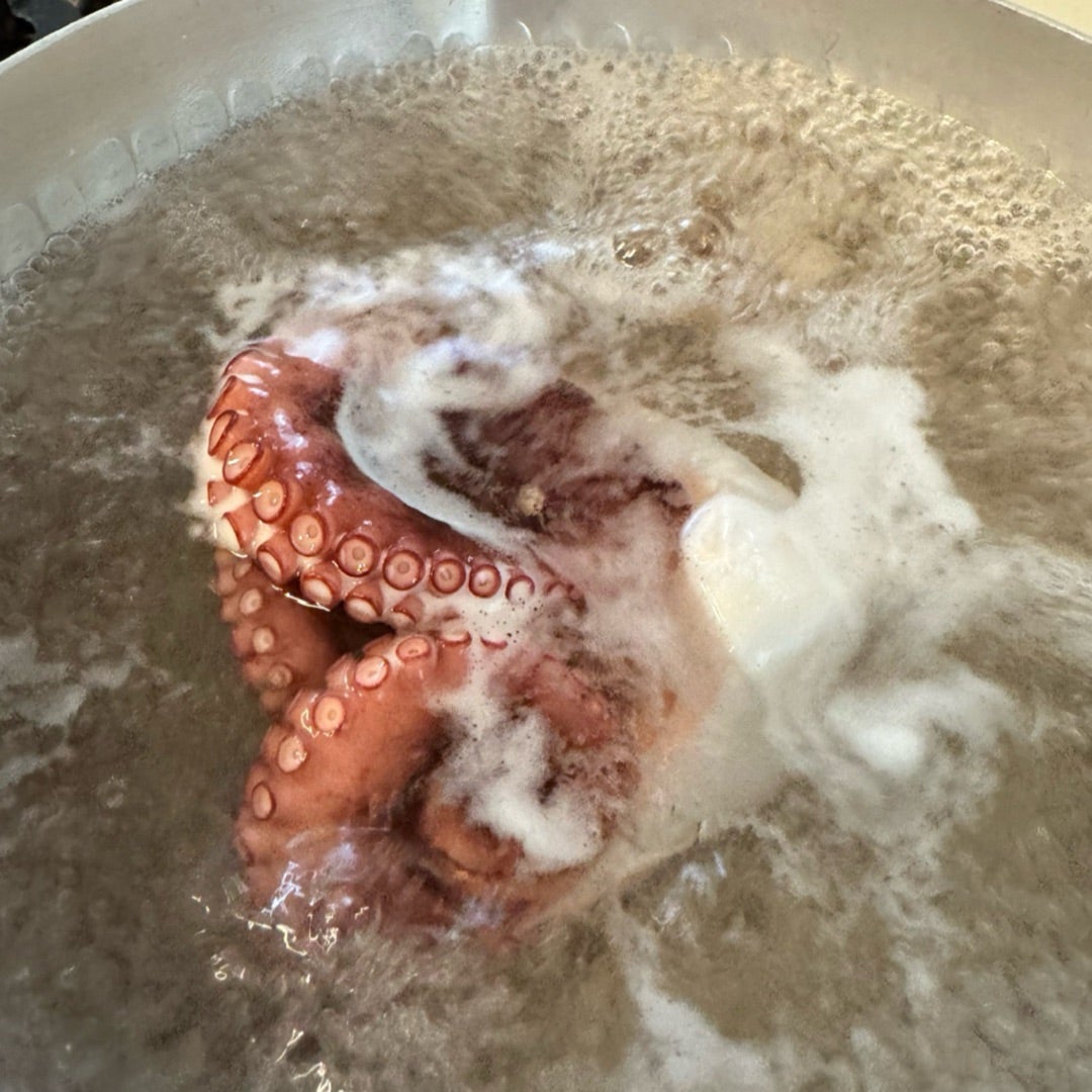 北海道苫前町産 冷凍ゆでダコReTAKO – UMITO SEAFOOD