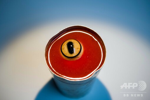 スタバの新作スイーツが「キモい」と炎上。 食べ物のおいしさよりも大切なこと « 女子SPA