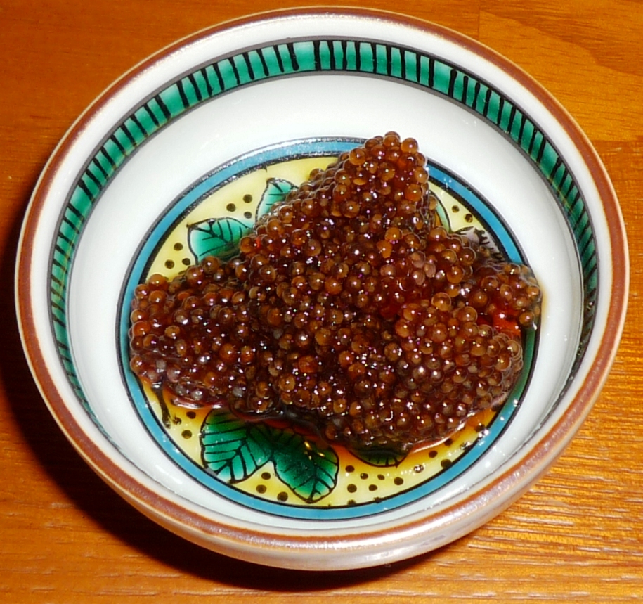 アイナメの基本知識 レシピ・旬な時期・釣り方・さばき方を解説！釣りラボマガジン