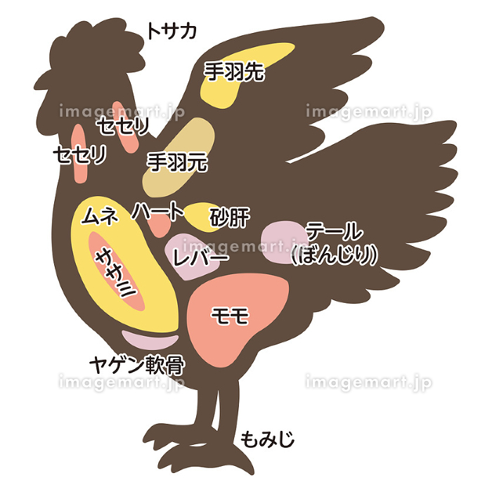 宮原 悠丸鶏を解体して精肉を体験してみようWILD MIND GO! GO