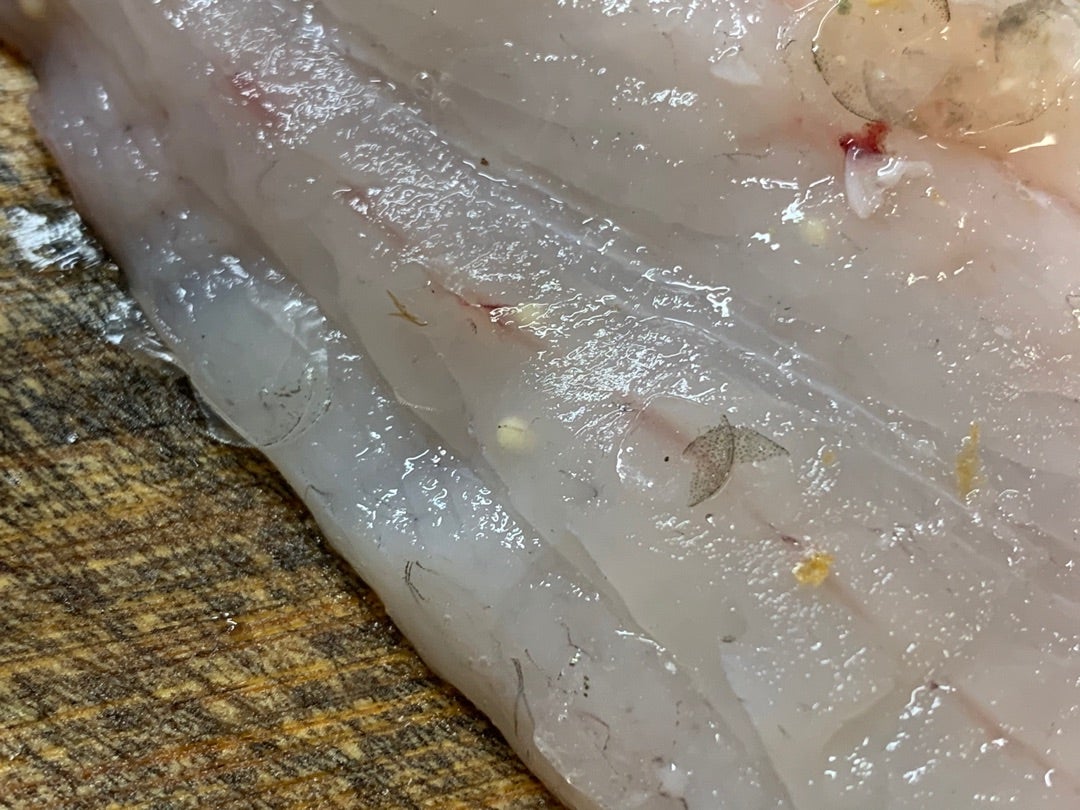 シーバスの刺身は『アニサキス』に気を付けろ！生食の食べ方と注意点釣りDAYS