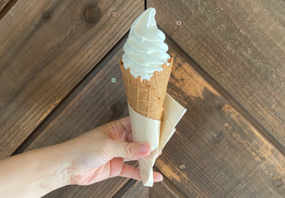 おすすめ！焼きたてワッフルコーンのソフトクリーム！きょうトピ！ 2024年9月9日放送