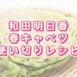 和田明日香さん カズレーザーさん「なんて旨そうな名前なんだ」キャベツ1玉ペロリ!?「秒で旨い」簡単おつまみヨムーノ