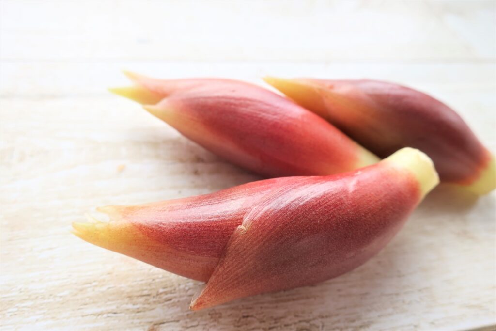 ベランダで数年前からミョウガを育てていますが、いっこうに花 園芸相談Q＆Aみんなの趣味の園芸