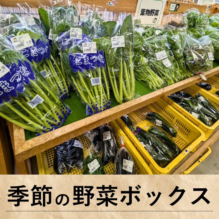 お試し 野菜box SSサイズ野菜 野菜セット・詰め合わせ 産直アウル 農家から直接野菜などの食材を購入できる産地直送の宅配通販サイト
