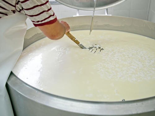 基本からアレンジまで！思わずつくりたくなる「余ったホエー」のレシピ集クックパッド