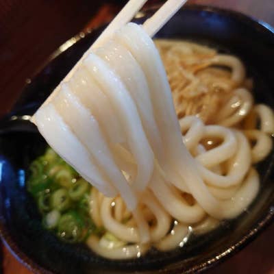 大力うどん＠瀬高町 福岡県・みやま市: 麺が好きィ～！ブログえぬ Ｎ