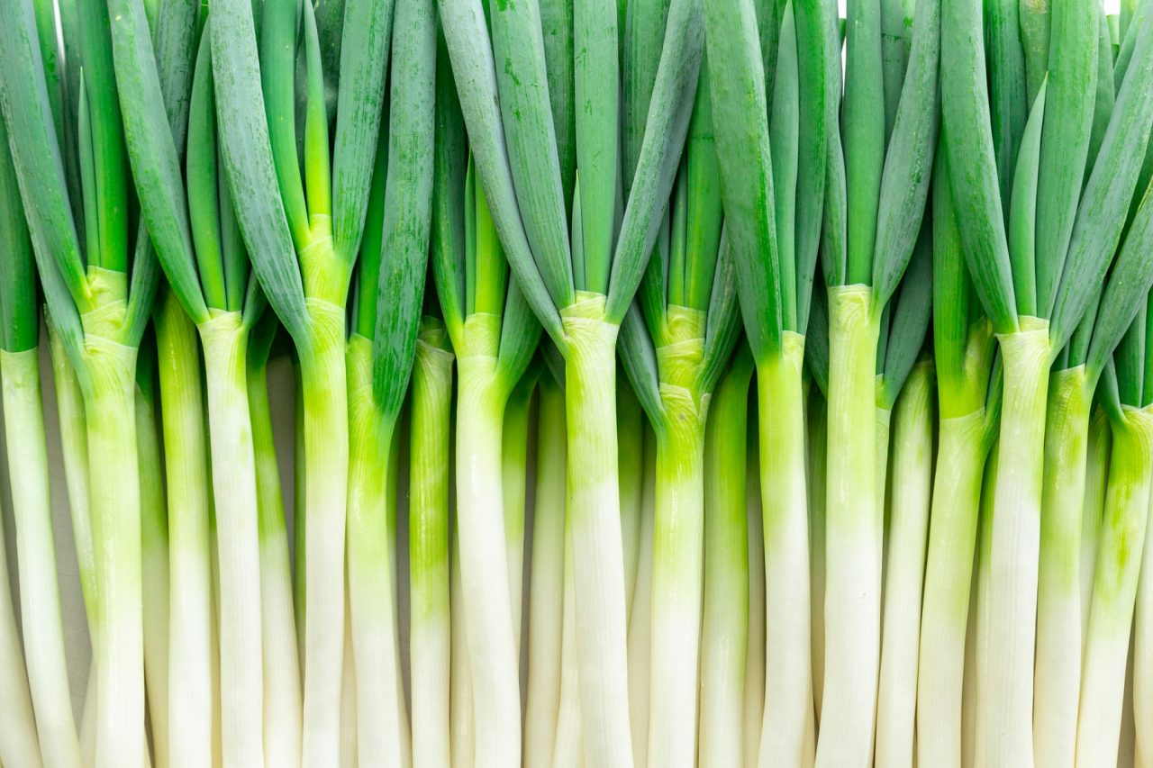 わけぎ ワケギ 分葱 ねぎ ネギ 葱 品種の特徴 食べ方 選び方