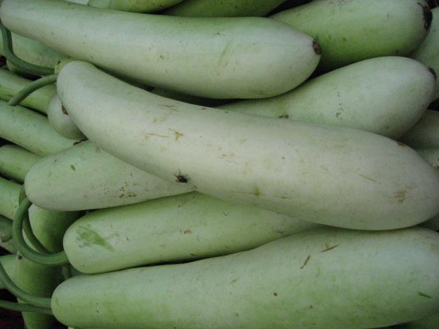 乙事瓜 おっことうり をご存知ですか - おらほー！富士見 八ヶ岳山麓 信州・富士見町 魅力発見サイト