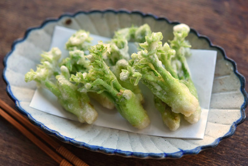 タラの芽のチーズ焼きたいすけのブログ ｉｎ 香港 → 東京