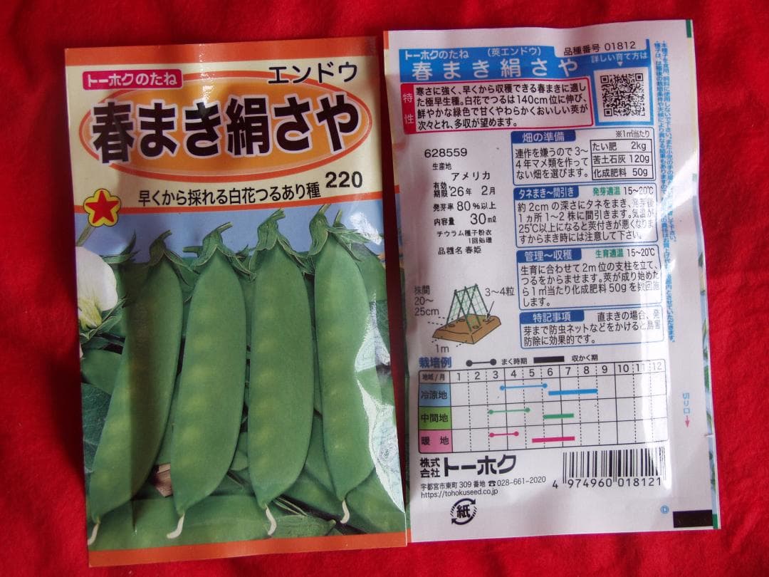 大後悔part2と今季のスナップエンドウ収穫量MUNA_FARM 無農薬自給自足