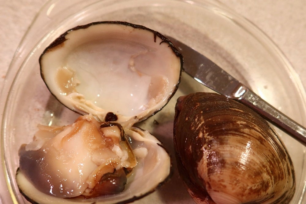 ほっき貝。香りの醤油バター焼き レシピ・作り方クラシル