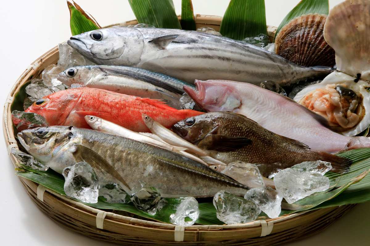 割烹における焼き物とは？ 焼き方の種類や夏が旬の魚も解説