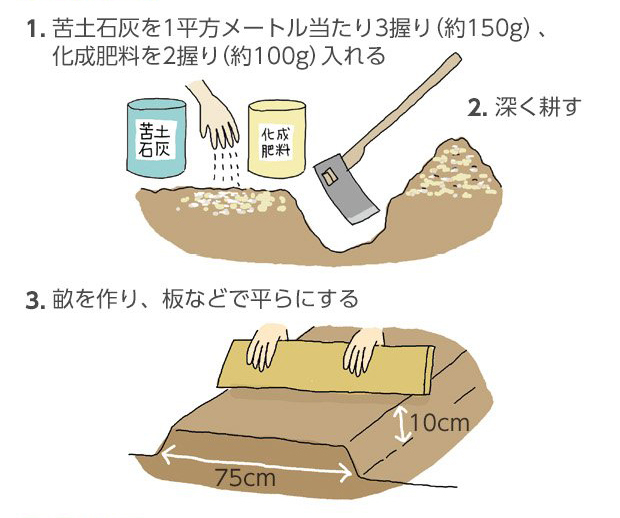 培養土の袋に植えるだけのホーム玉ねぎの簡単な育て方 野菜の袋栽培やさいガーデン