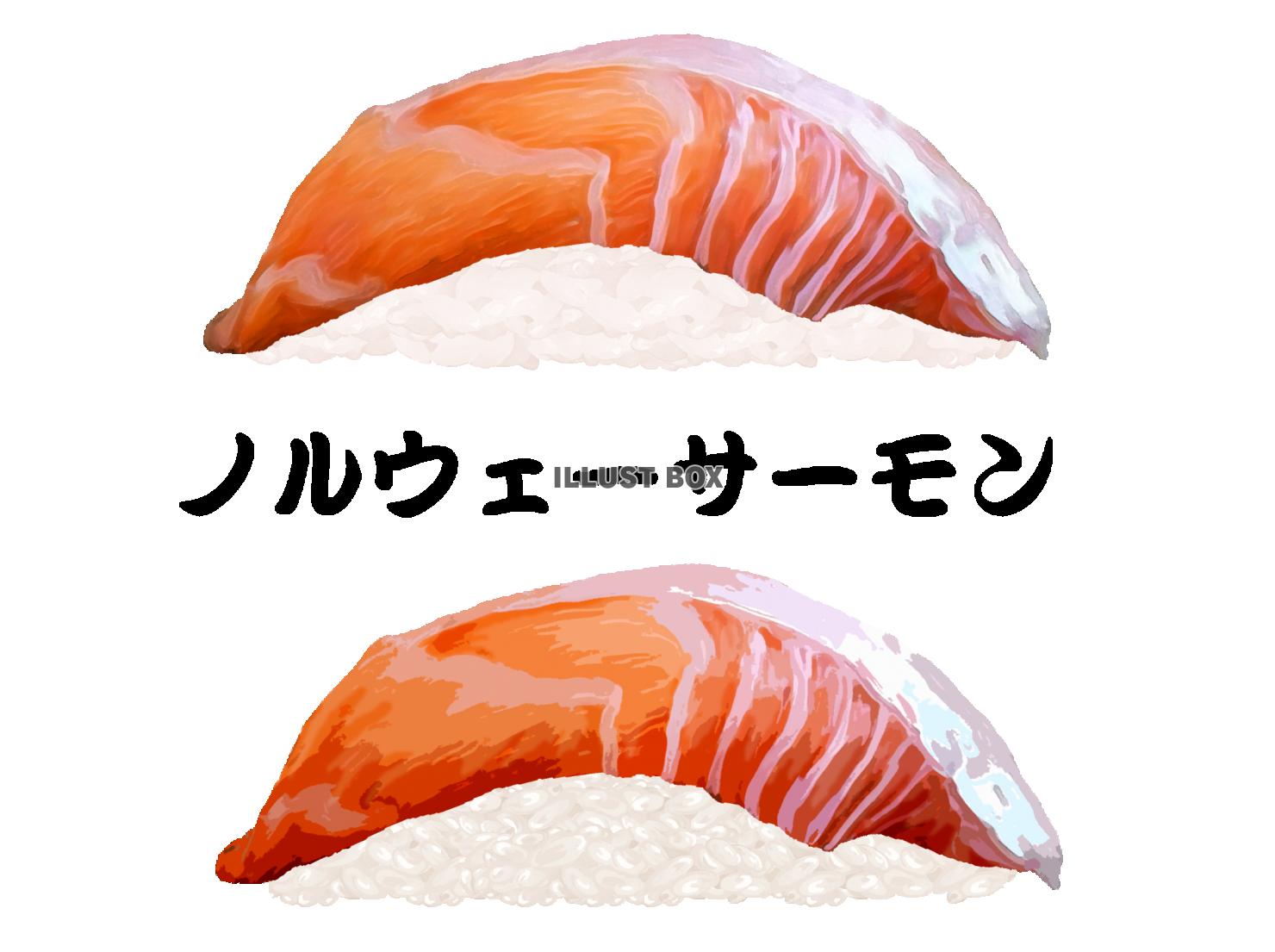 50,100点を超えるサーモンのイラスト素材、ロイヤリティフリーのベクター素材グラフィックスとクリップアート - iStock鮭, スモーク サーモン, 魚