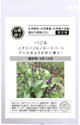 タイバジル ホーラパーの固定種の通販グリーンマーケット