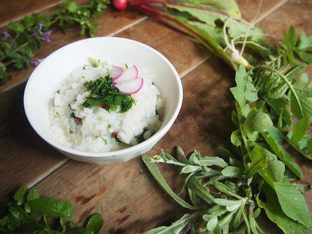 夏の七草」ふたつめはこれがいいかな？その変化を子細に楽しめる夏草花「藪枯らし」。名前が夏ぽくないのが難点。 7 5=旧6 2・戊子