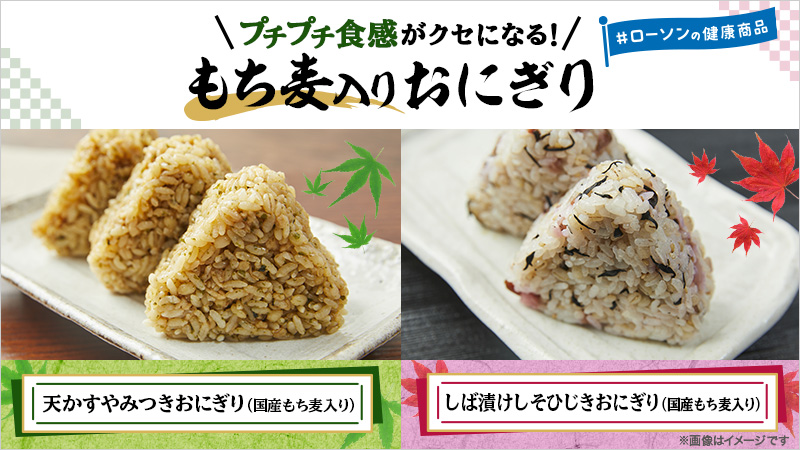 国産 プレミアム しそひじきふりかけ 50g×2袋 約20食分送料無料 ポイント消化 じきふりかけ おにぎり しそひじき ご飯のお供 ヒジキギフト グルメ 健康食品 食品 食べ物:港ダイニングしおそう通販JRE MALLショッピングJRE POINTもおトクに貯まる・使える