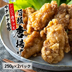 遠足・ピクニック×冷凍食品の人気おすすめランキングベストオイシ