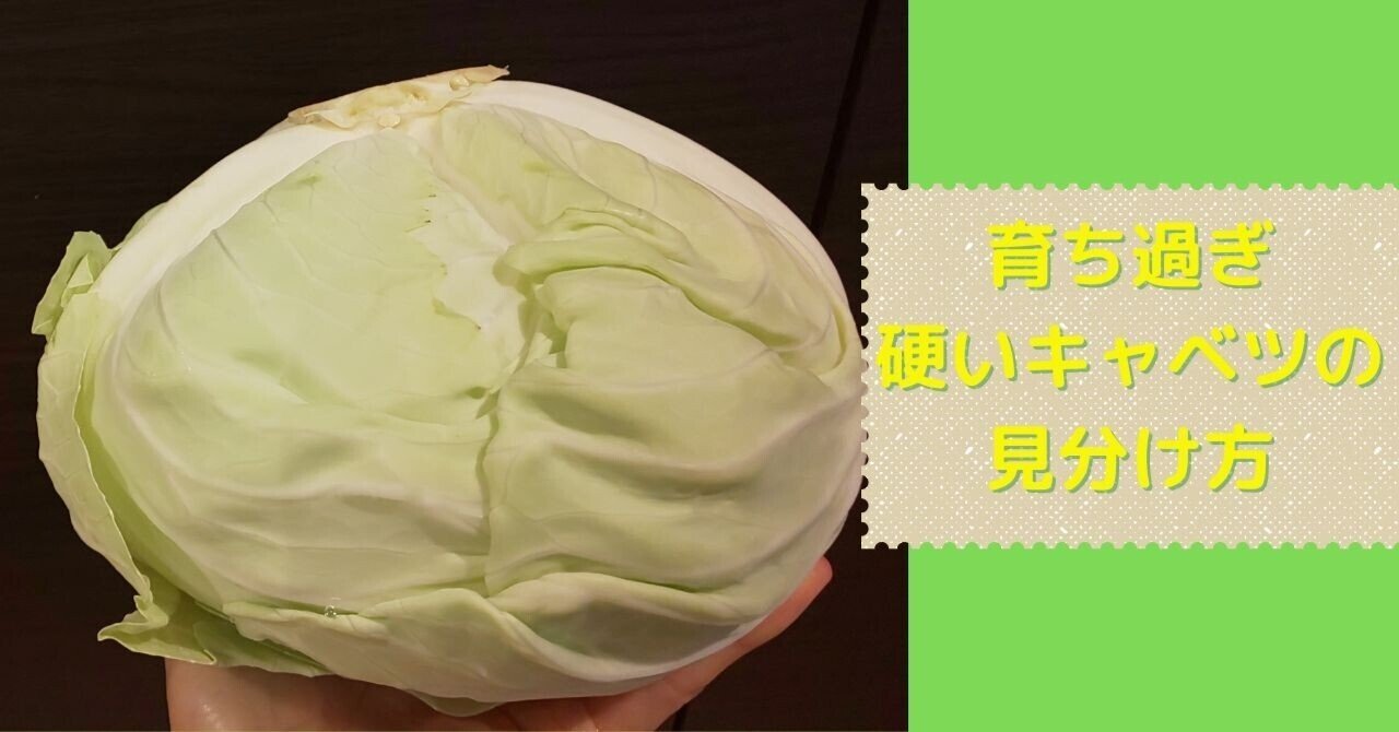 キャベツをスーパーで買う時の選び方「これが正解」SUNMARK WEB