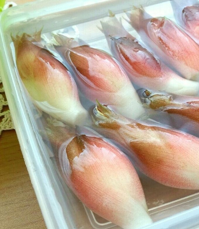 みょうがの大量消費 薬味好き必見！激ウマレシピ人気の24選の人気レシピ・作り方デリッシュキッチン